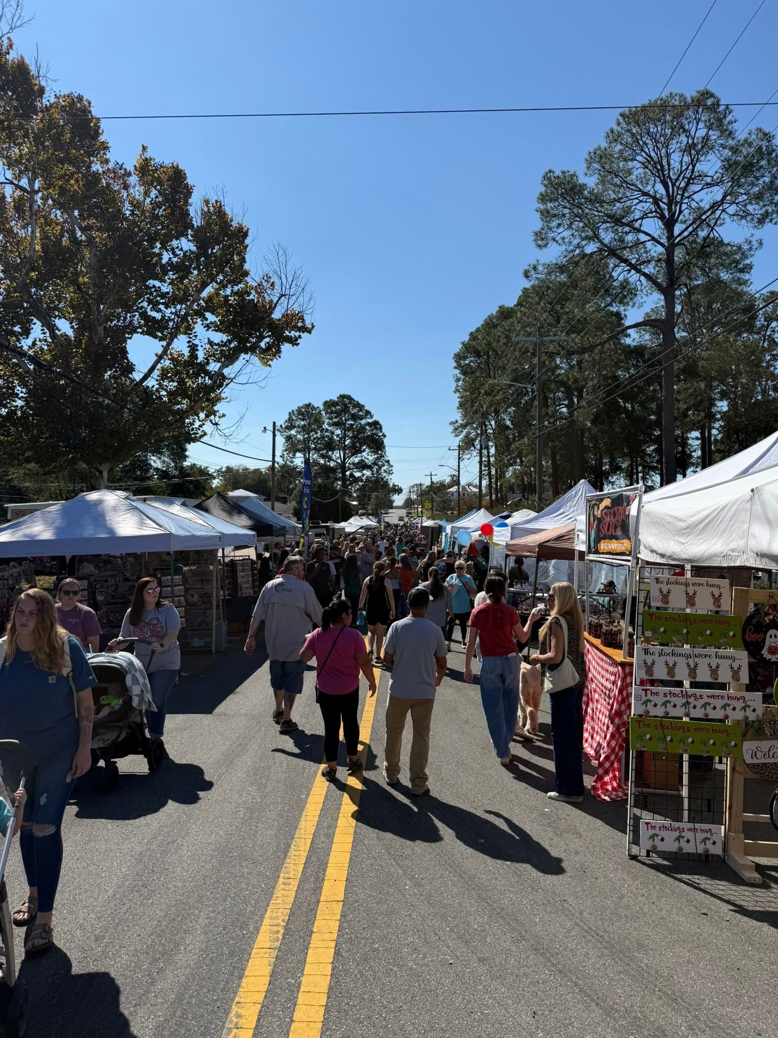 Georgia Peanut Festival
